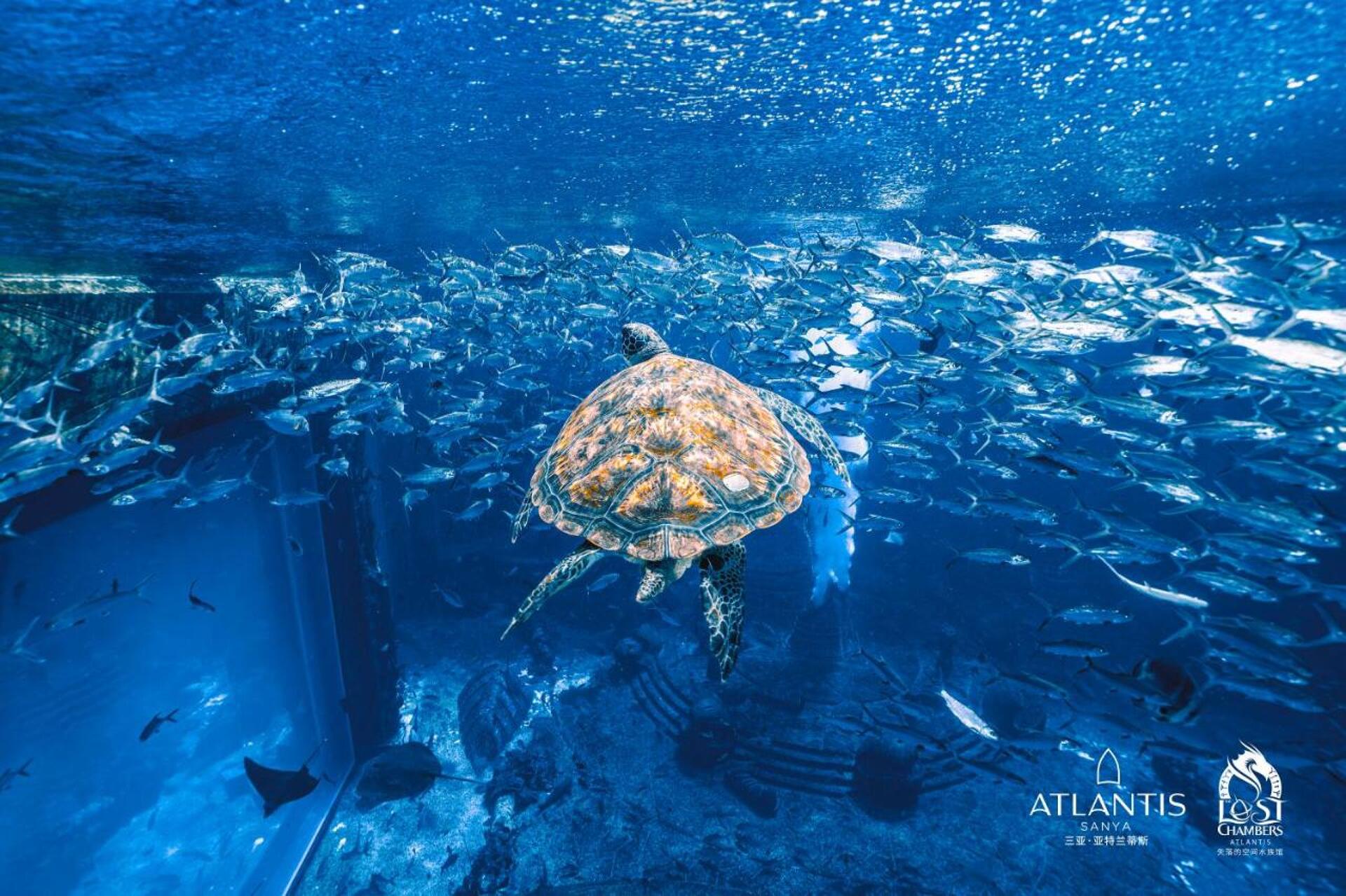 Atlantis Sanya 23