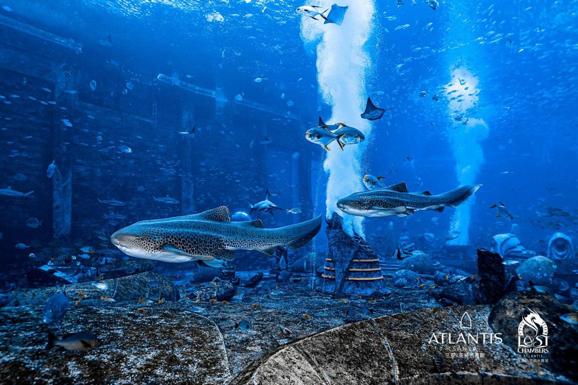 Atlantis Sanya 26