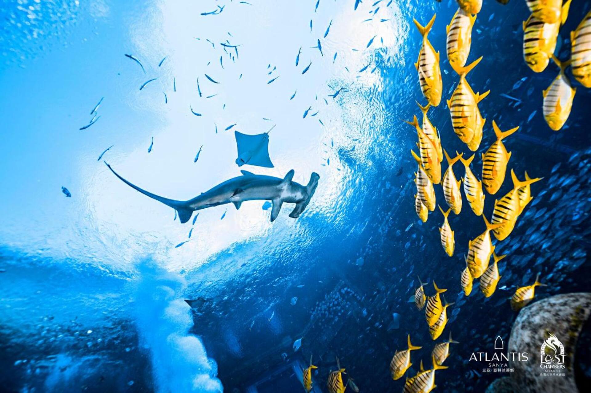 Atlantis Sanya 25