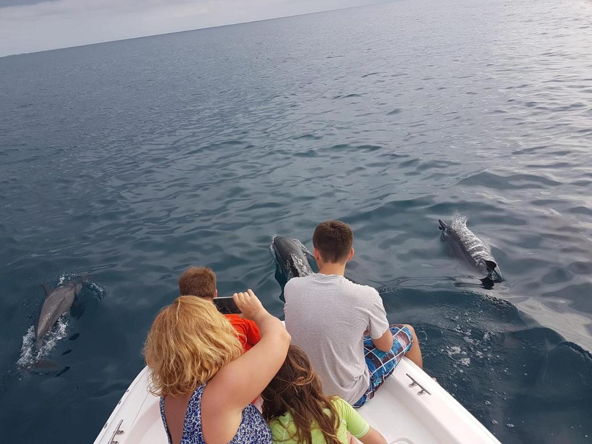 Lagoon View Maldives  4* 34