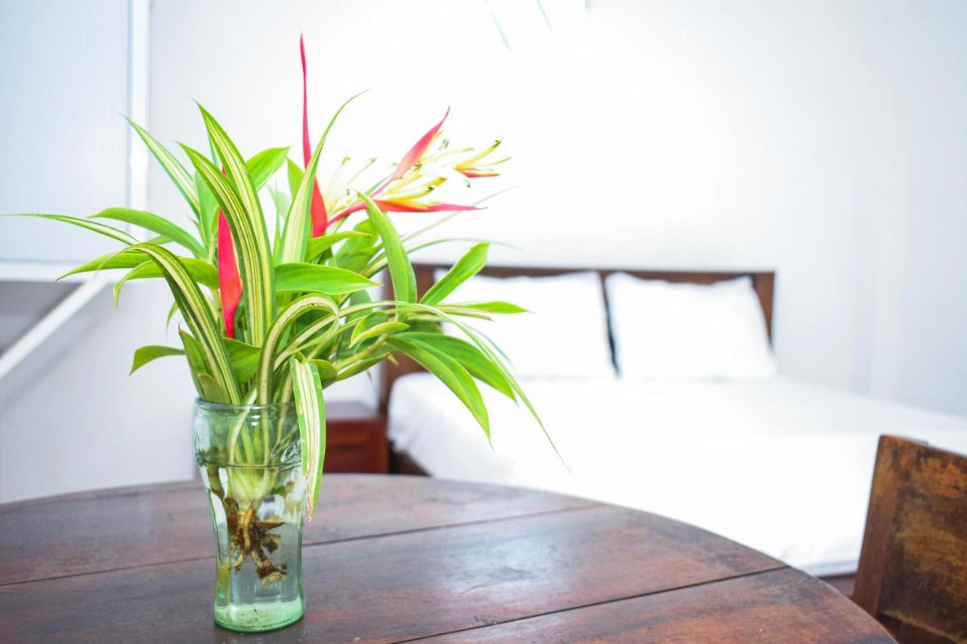 The Emerald Guest House & Villa 3* 6