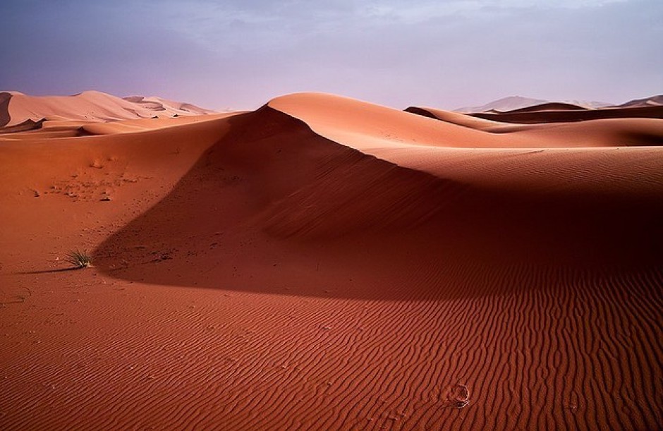 Desert light. Калахари Лайт. Цвет солнечного сахара.