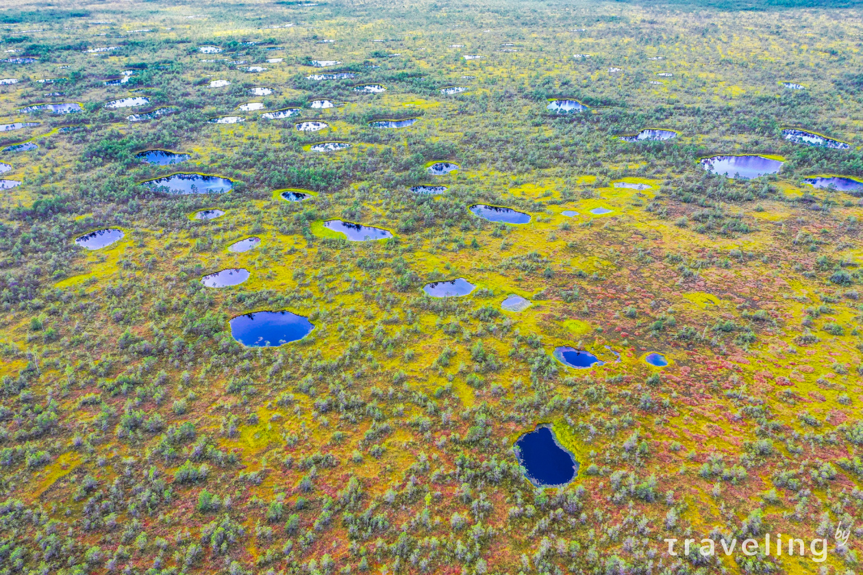 Козьянские болота – «белорусский Меркурий»