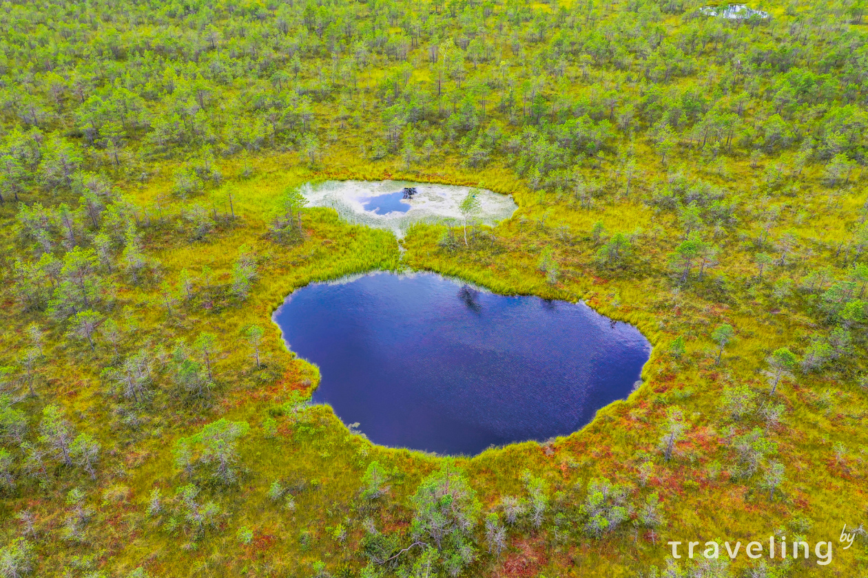 Козьянские болота – «белорусский Меркурий»
