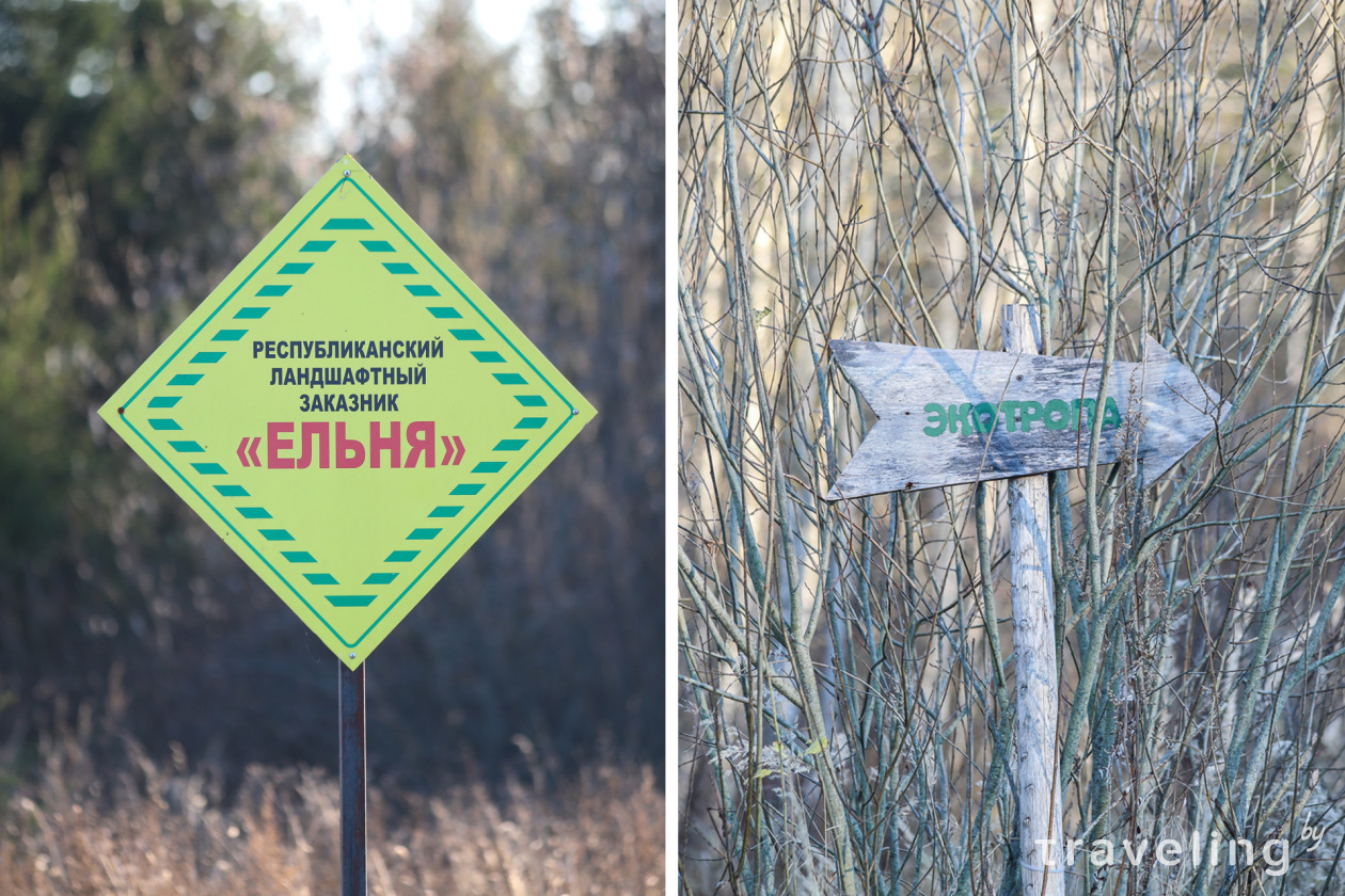 Болото Ельня: первое знакомство с магией красной планеты