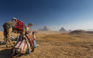 Что посмотреть в Египте: 20 интересных мест для знакомства со страной 