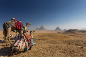 Что посмотреть в Египте: 20 интересных мест для знакомства со страной...