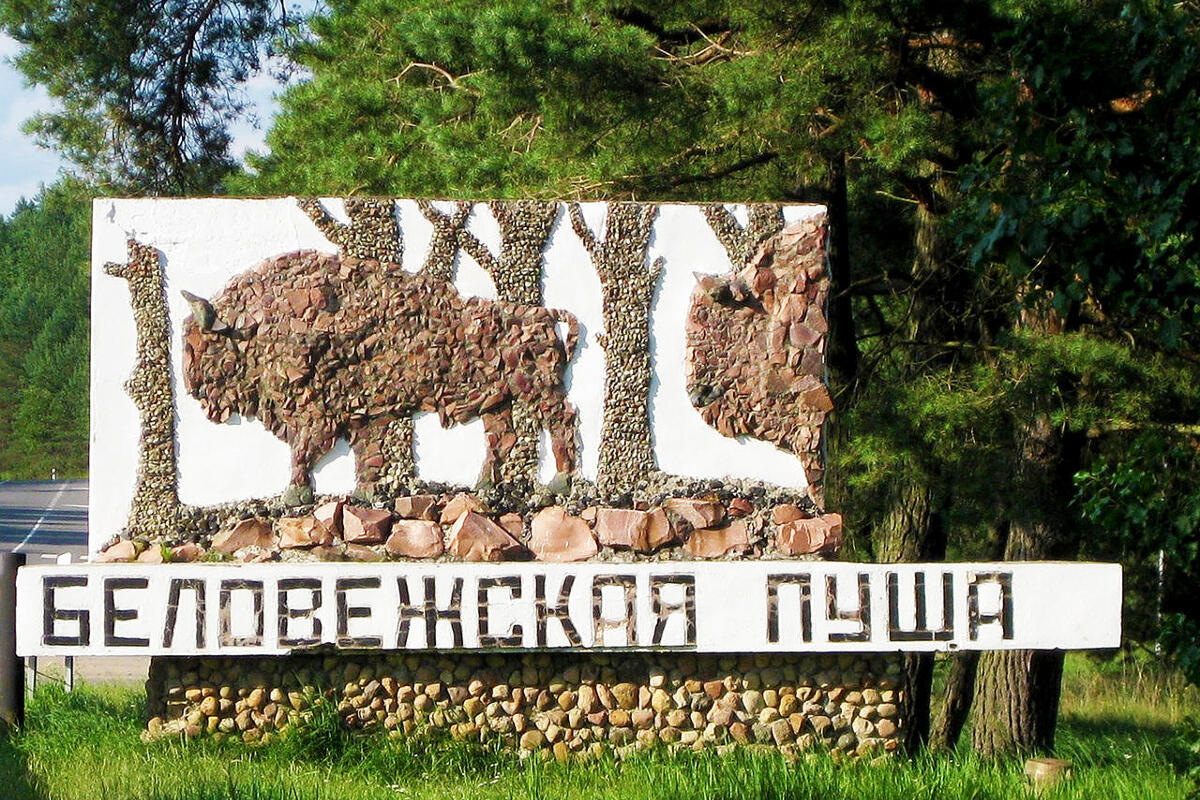 БРЕСТ - ПУЩА, 2 ДНЯ 0