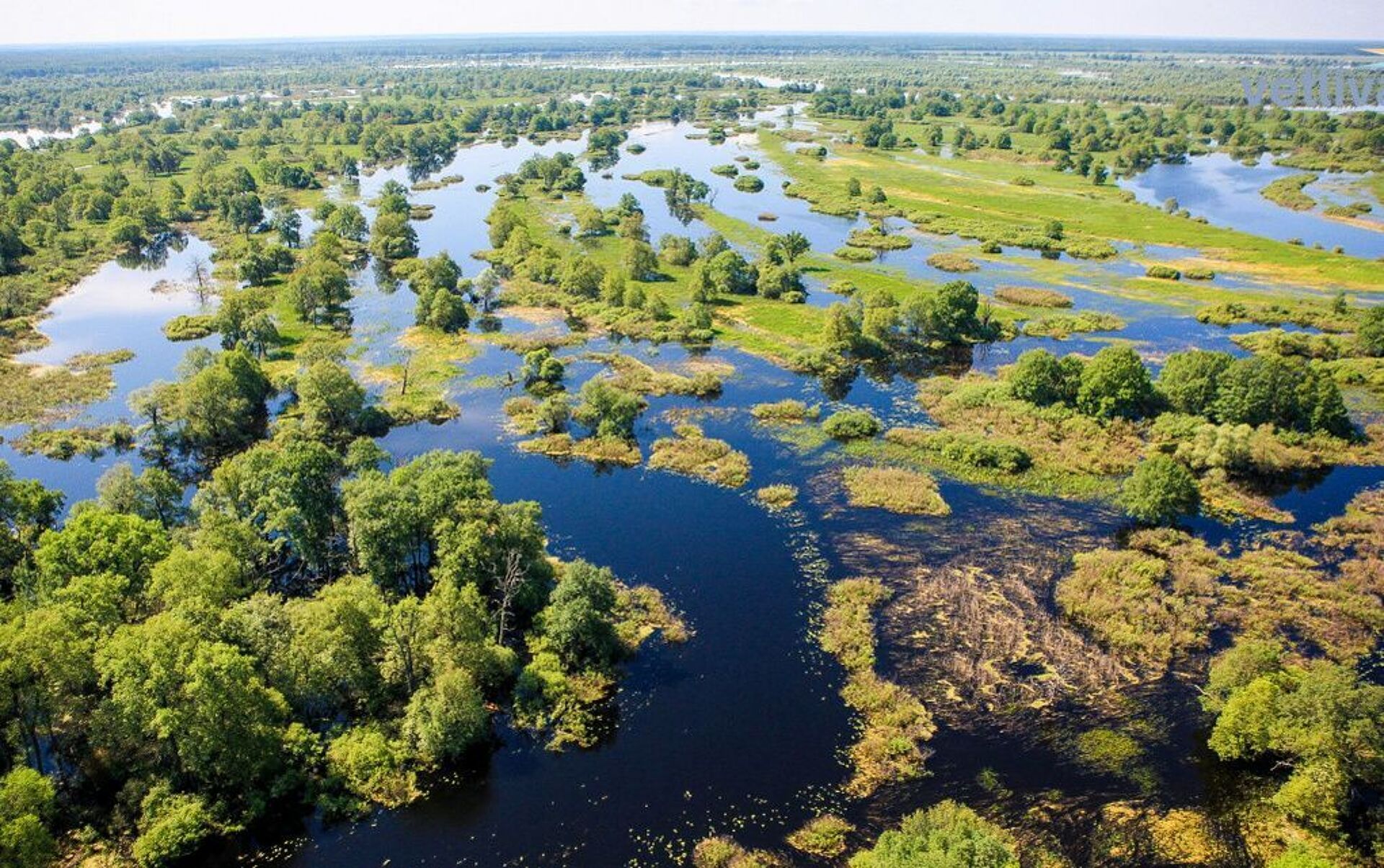 Магия По­ле­сья... Геродотово море + теплоходная прогулка + Туров (с обедом) 8