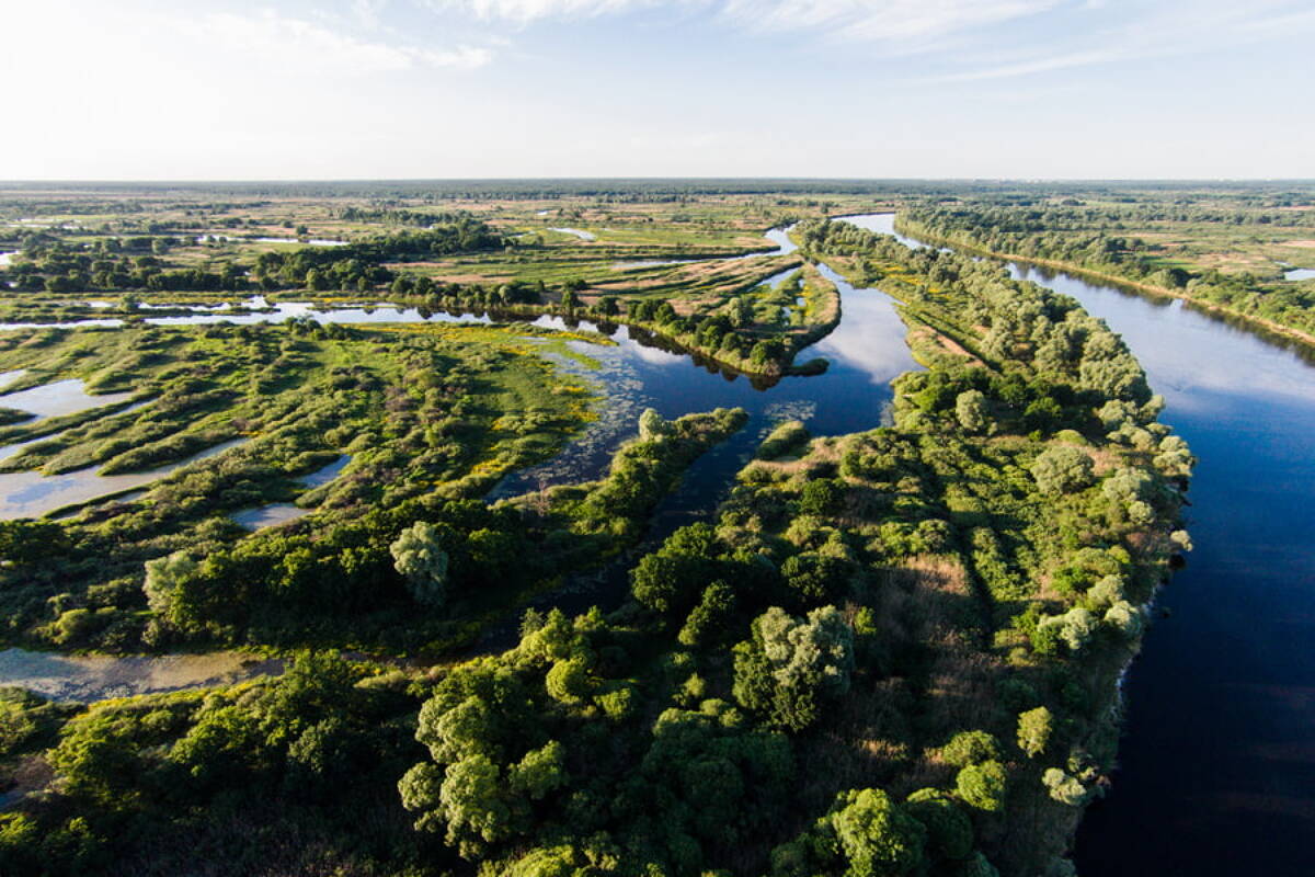 Магия По­ле­сья... Геродотово море + теплоходная прогулка + Туров (с обедом) 3