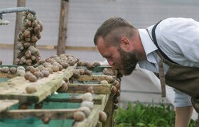 Гастрономическое приключение! Мир+ферма улиток Ratov +агроусадьба Мир пчел с дегустациями!