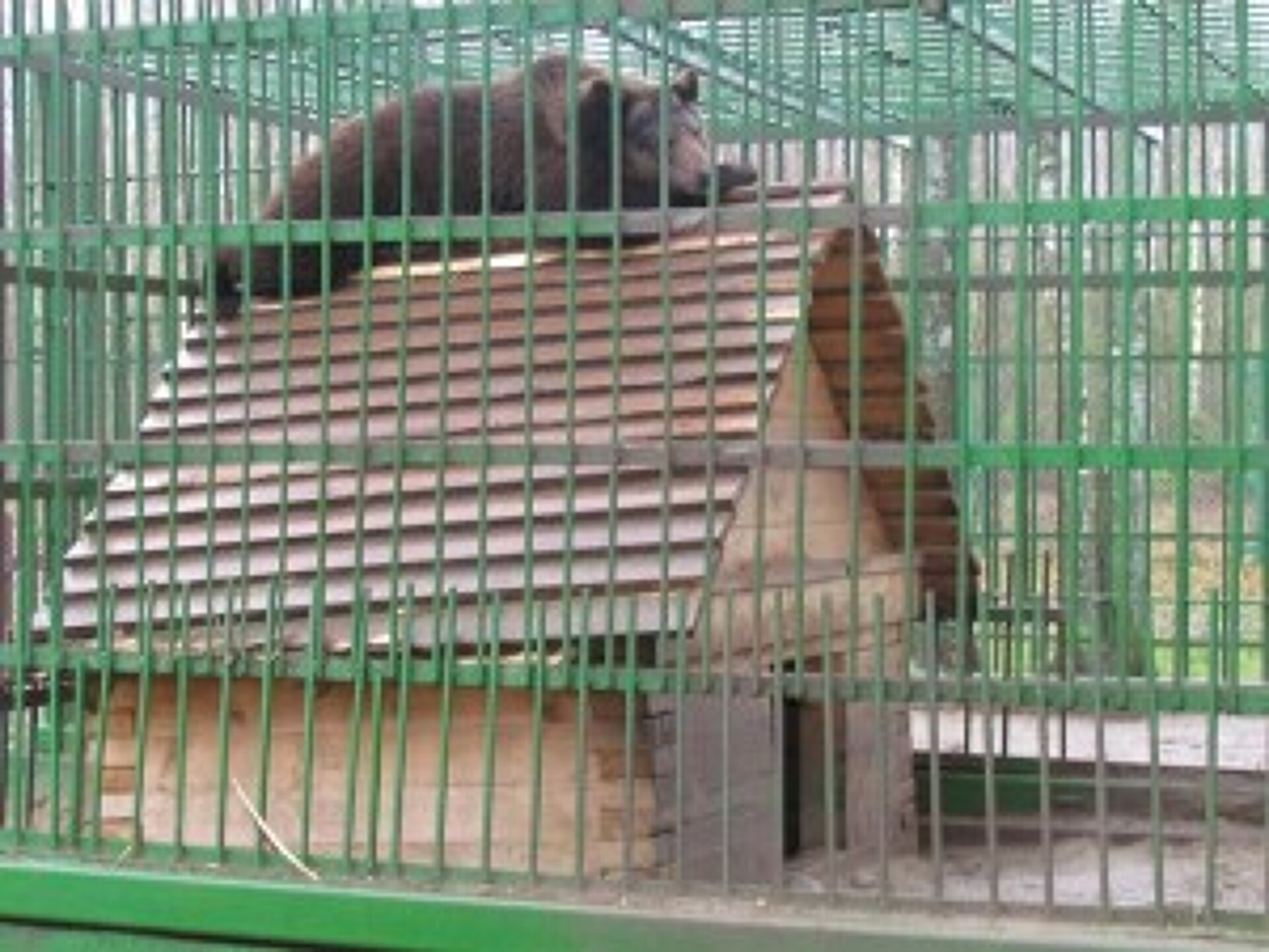 Березинский заповедник и лаванда. Лавандовый рай. 1