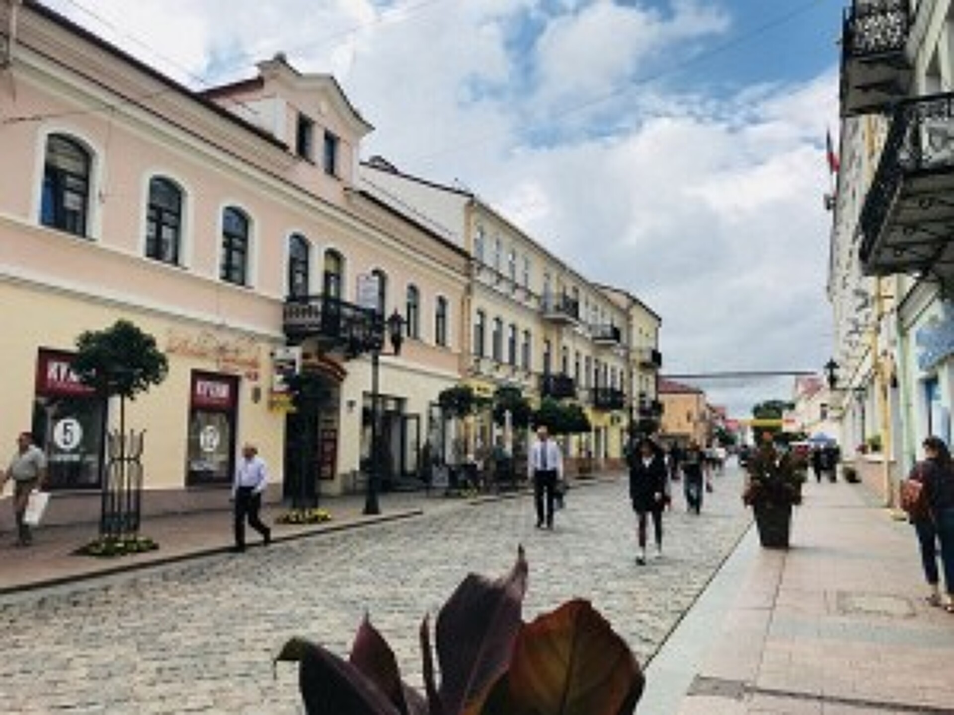 Брест - Беловежская Пуща - Гродно (с обедами и дегустациями), 3 дня 28