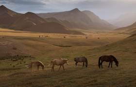 Большое путешествие по Киргизии 