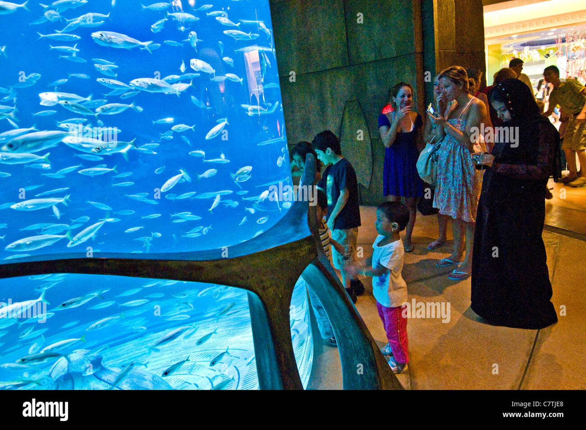 Отпуск в Atlantis The Palm Dubai  8
