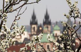 Варшава (шопинг) - Дрезден - Прага  для туристов с визами