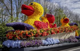 Уикенд в Нидерландах + Парад цветов Блюменкорсо