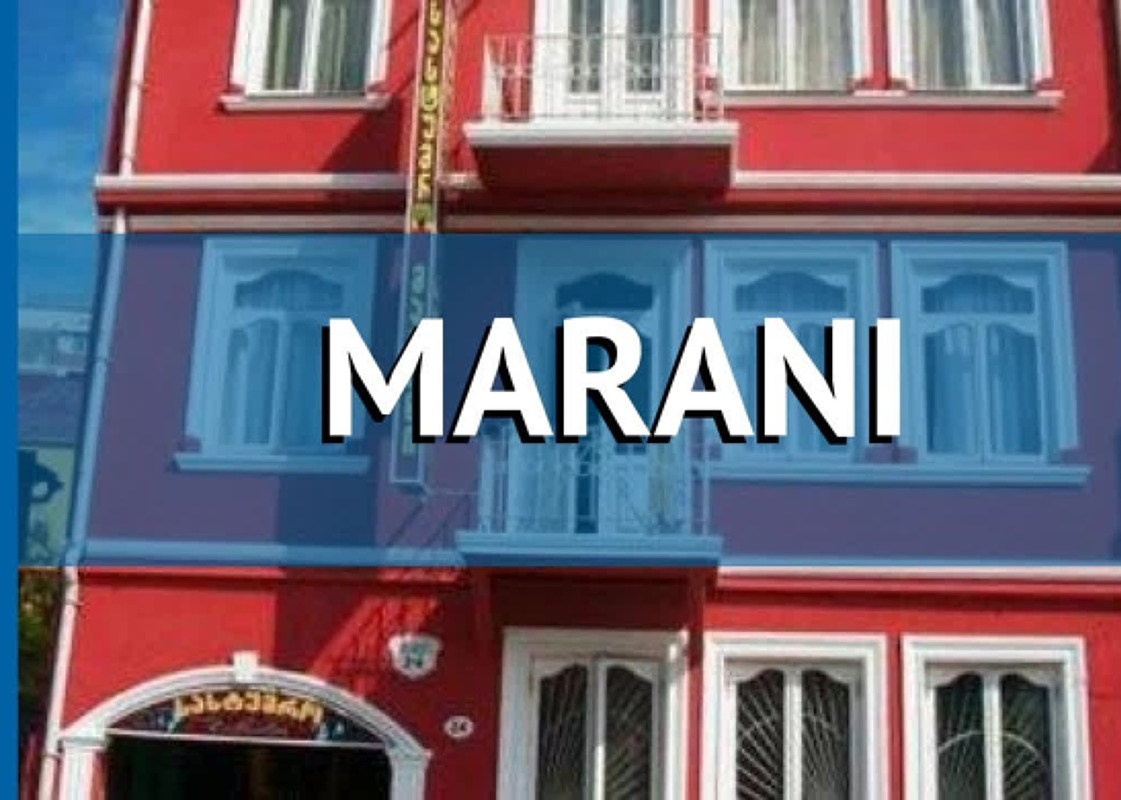 В Грузию на ПОЕЗДЕ с комфортом и отдыхом 10/13 ночей.   Отель Марани / Батуми. 0