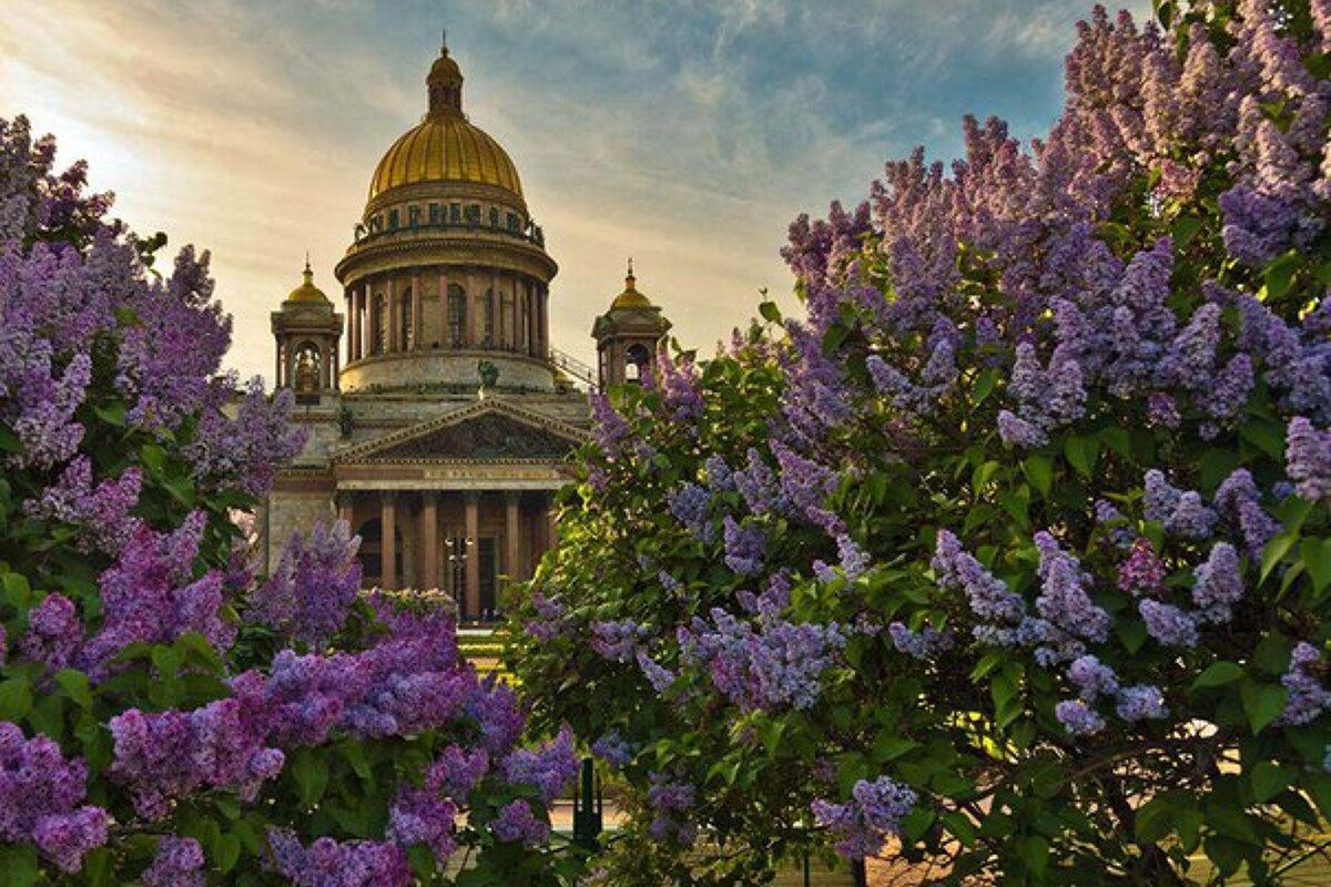 Ж/Д тур в Санкт-Петербург от надежного Туроператора. Отель 4* в ЦЕНТРЕ 3