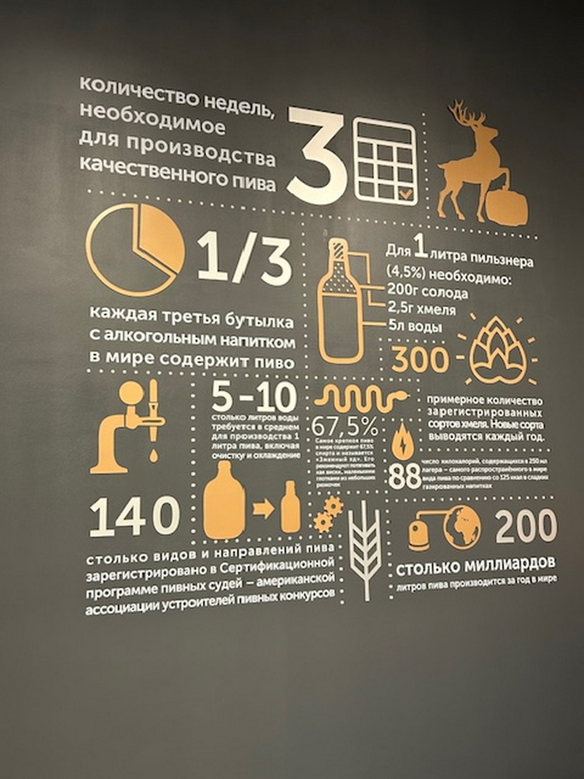 Лидский замок и музей пивоварения (с дегустацией) 13