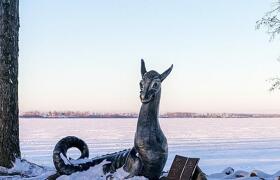 Новогодняя сказка в Березинском заповеднике