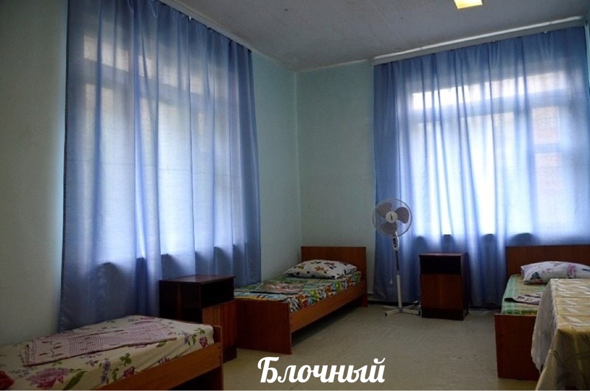 Абхазия, Центр Гагры! База отдыха «ДЕЛЬФИН» — 100 метров от моря, возле АКВАПАРКА. 11