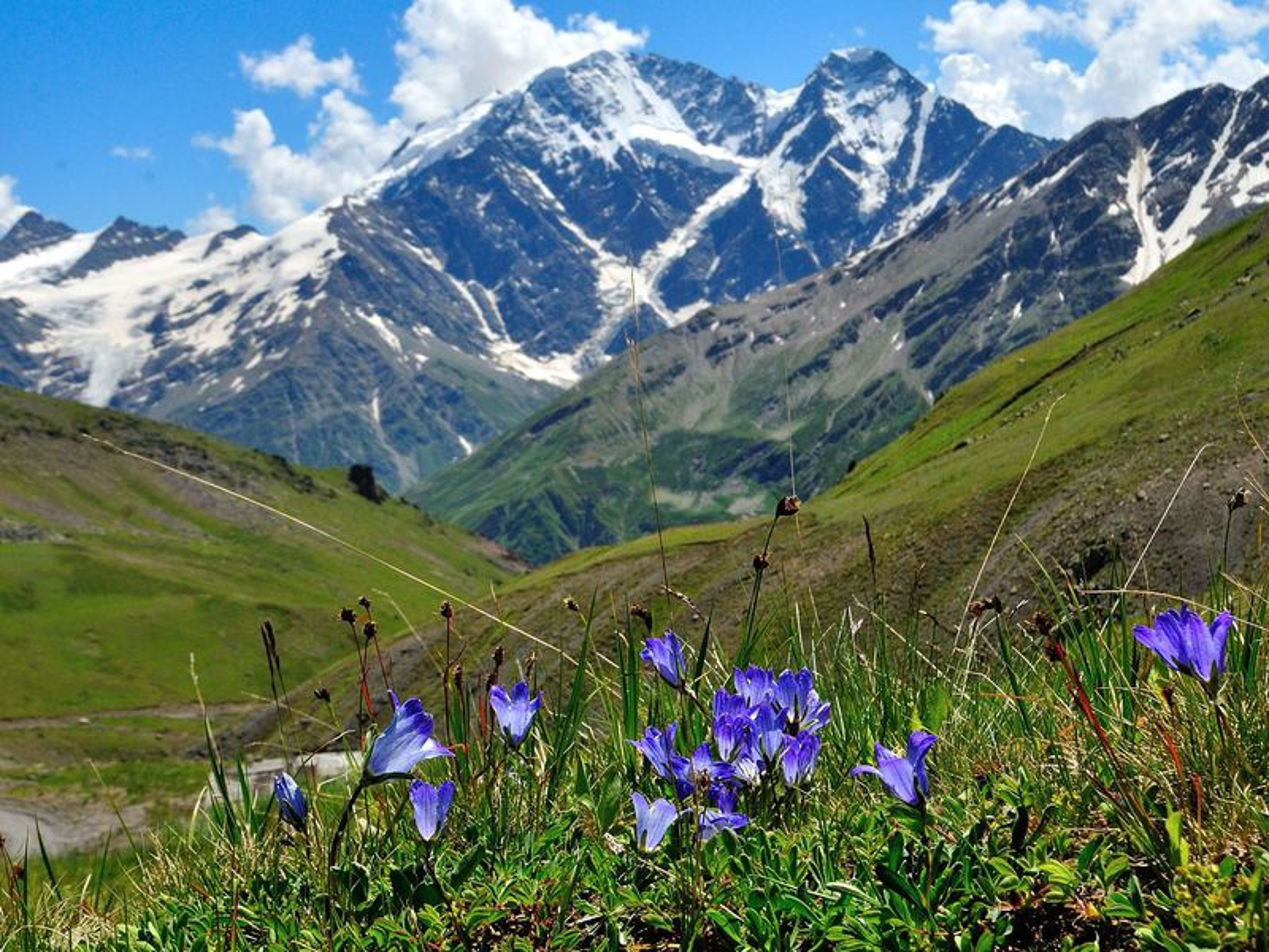 По горам Кавказа 0