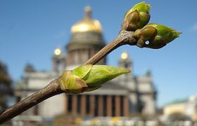 Санкт-Петербург на выходные. Приятнее цены не найти!