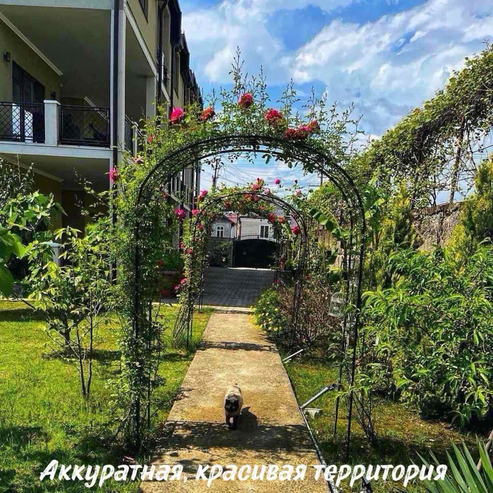 Абхазия, самый центр Сухума! Гостевой дом «ДЭЯ» на поезде, рядом песчаный пляж. 3-5 минут от моря! 1
