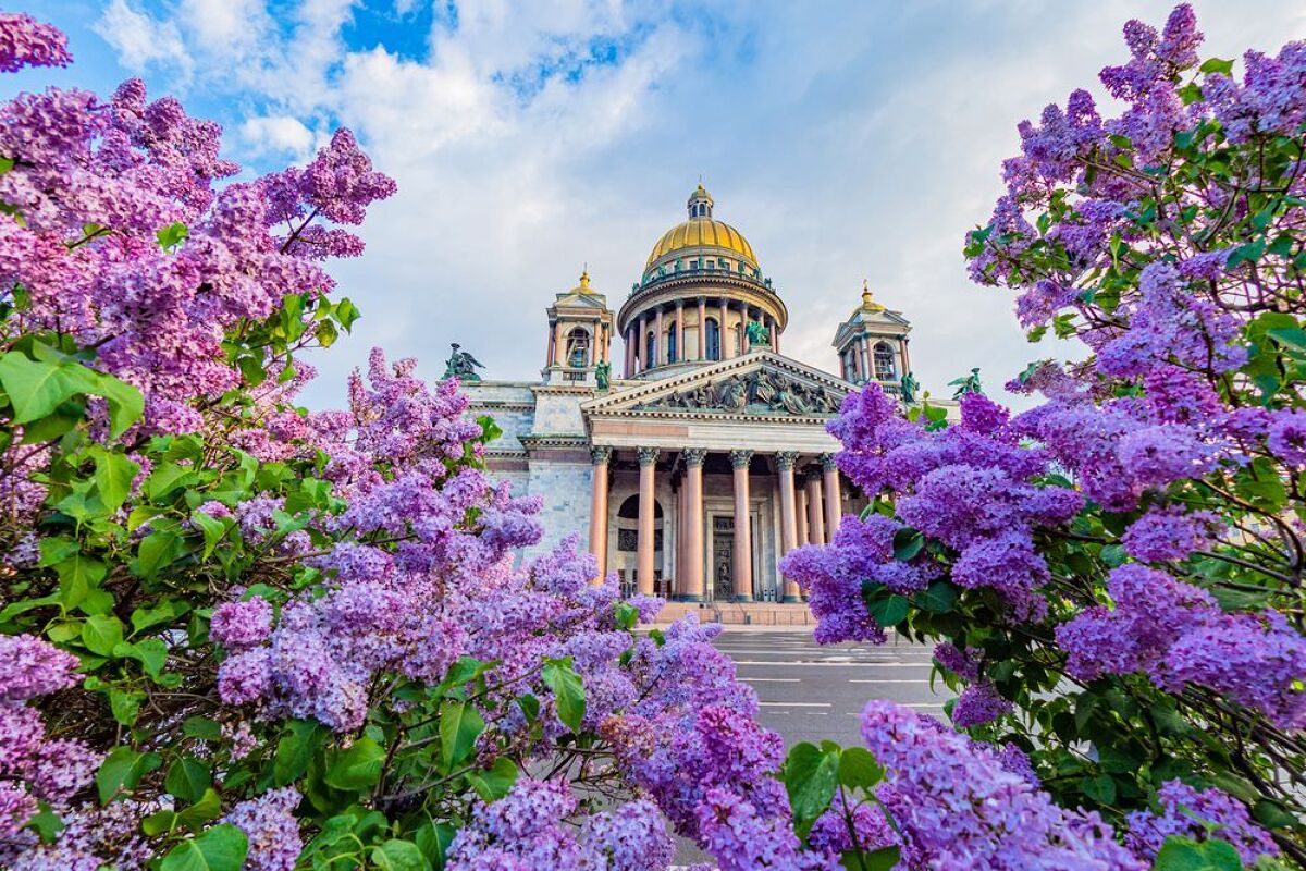Майские праздники в Питере! Цена снижена. Все обзорные экскурсии в цене. Отличные отели 3-4*!  1