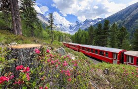 Гостевой дом У СВЕТЛАНЫ на поезде, самый центр Гагры, 150 метров от моря.