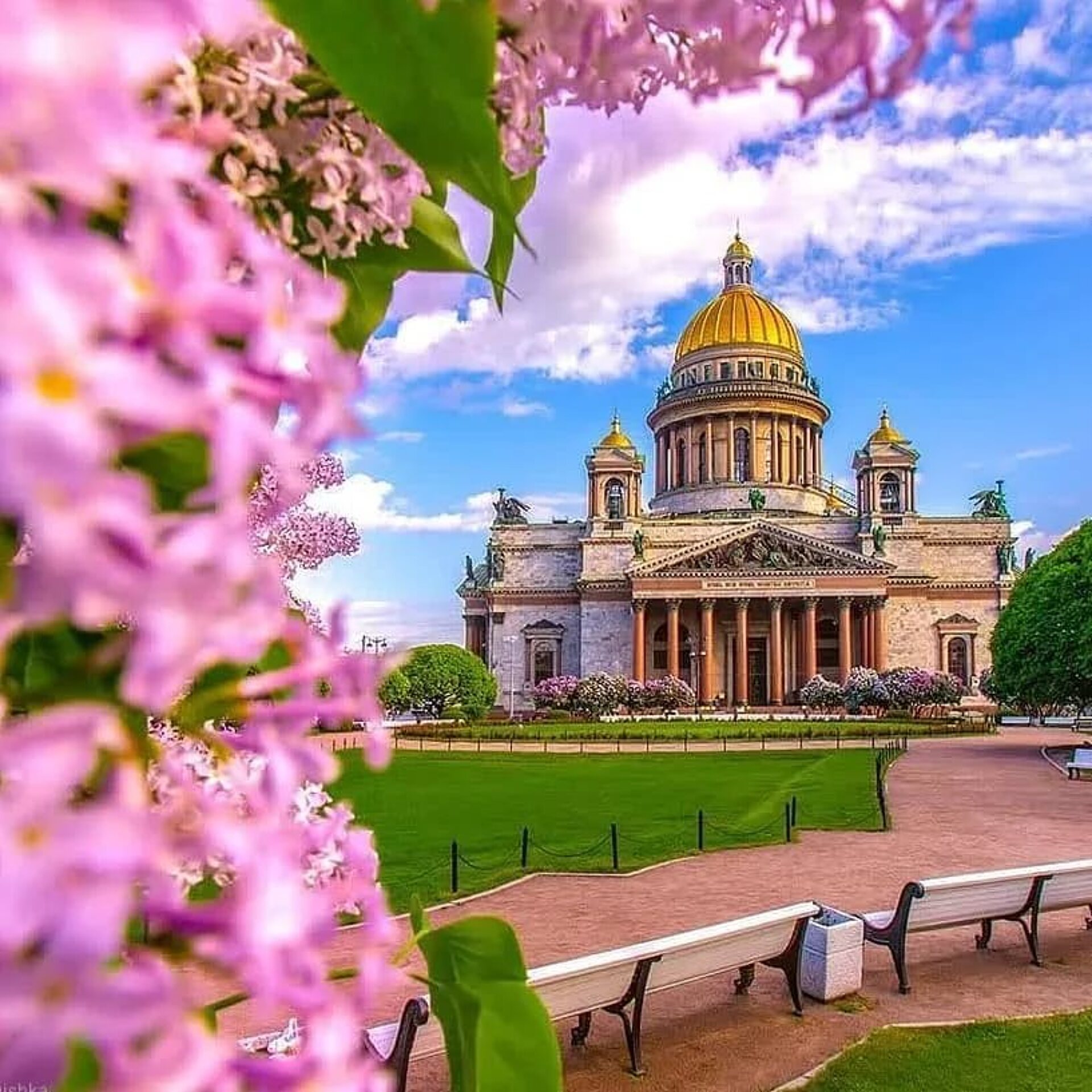 Цены снижены! В Питер на майские! Все экскурсии уже в цене! Отель 4*. Без скрытых доплат 6