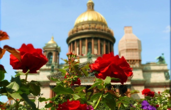 7-ми дневный тур в Питер, Выборг в подарок*! Шикарные отели 3-4*. Без скрытых доплат 