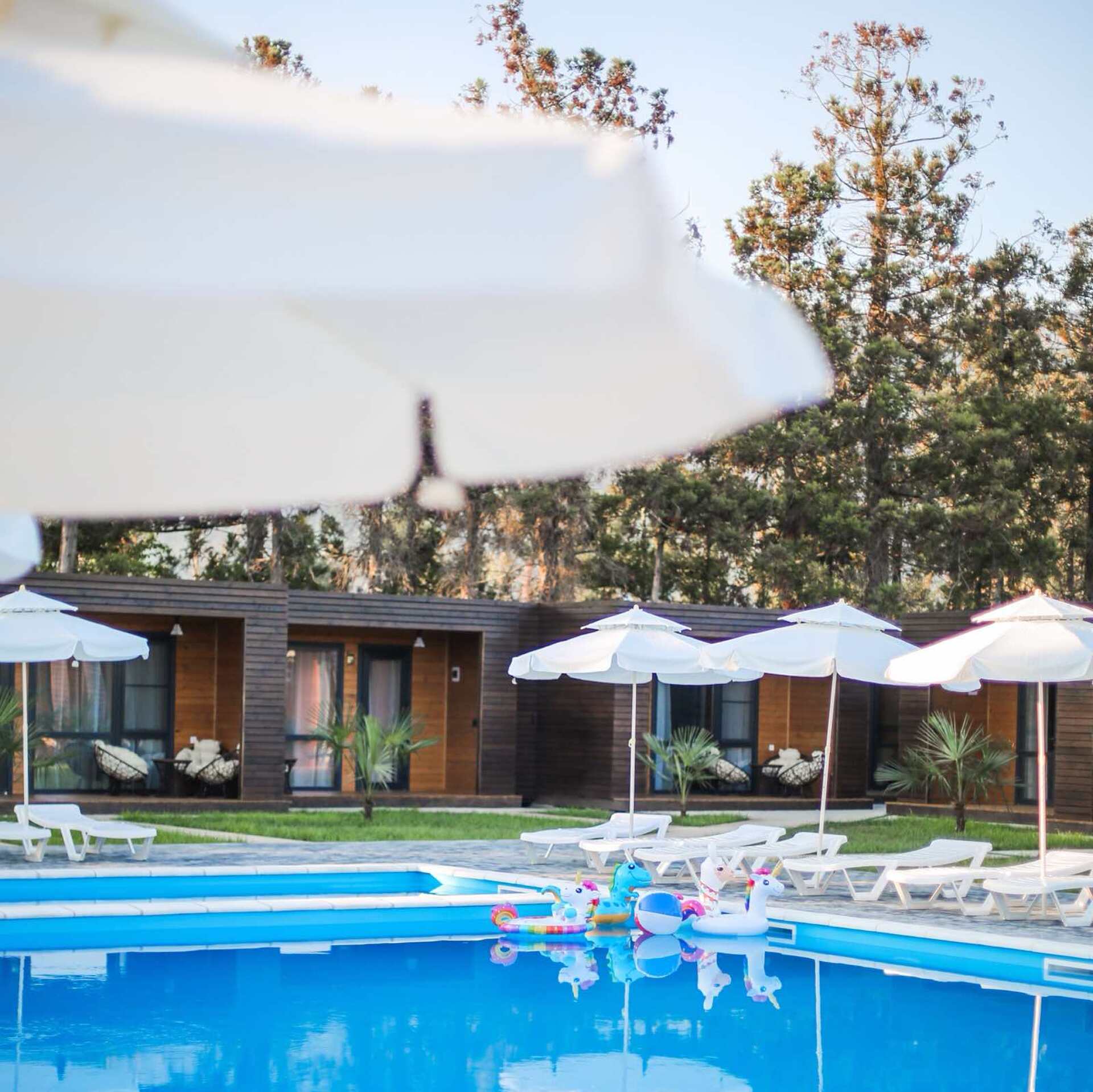 Гагра, Алахадзе. База отдыха «POOLSIDE beach resort» на поезде! Отдельные коттеджи, БОЛЬШОЙ БАССЕЙН 12