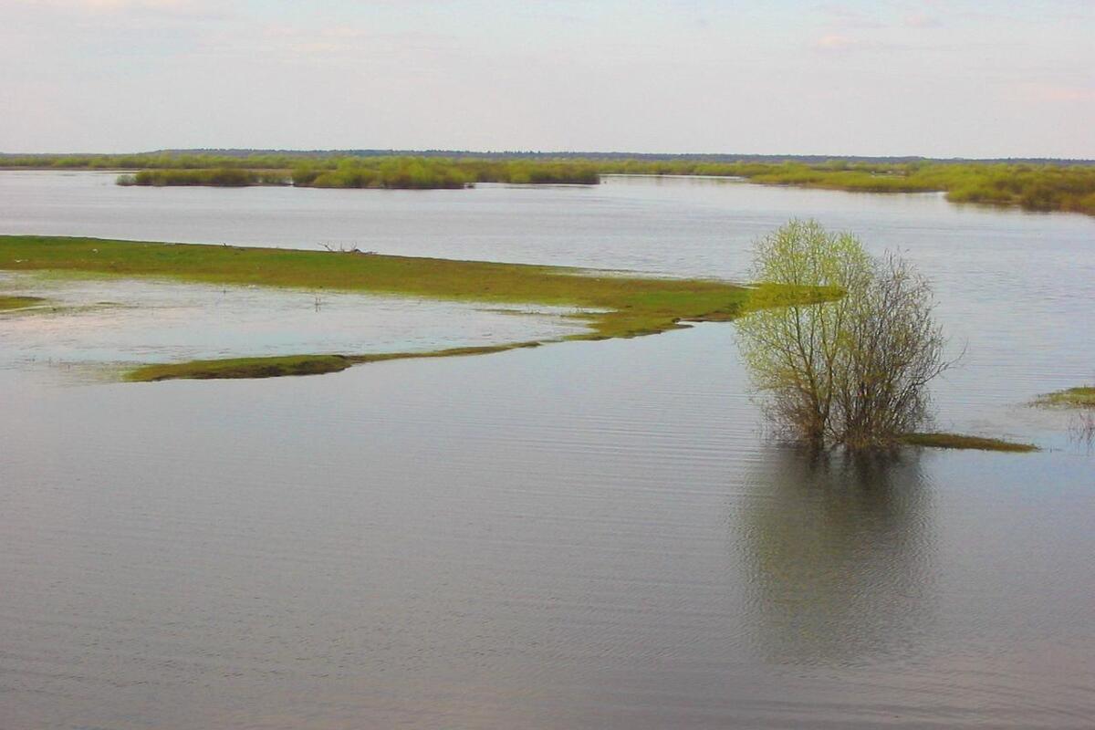 Геродотово море 0