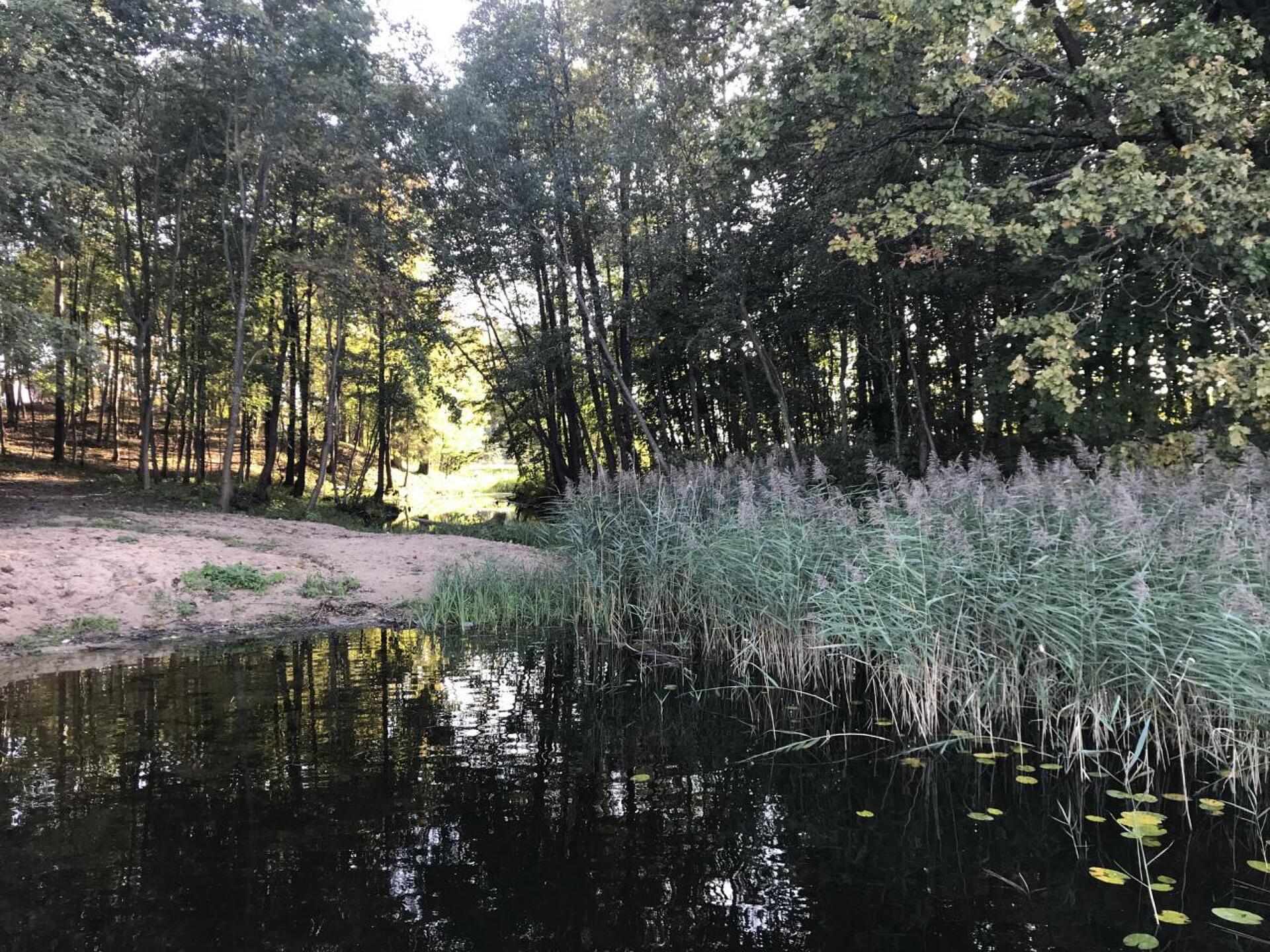 Геродотово море 6