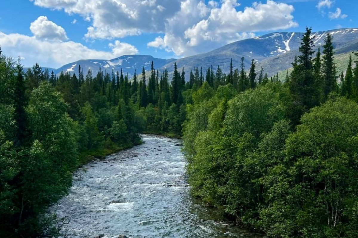 Отпуск за Полярным Кругом 1