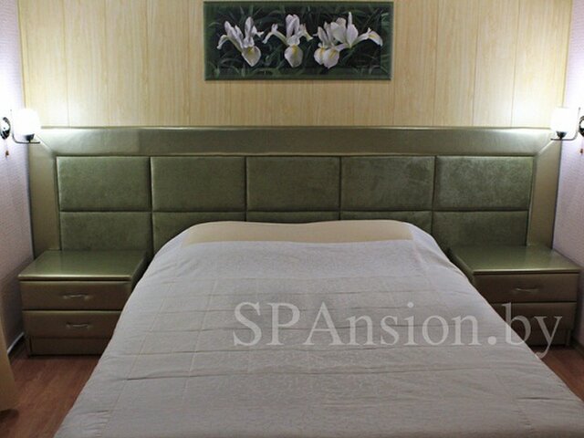 Сеть коттеджей SPAnsionat photo 1
