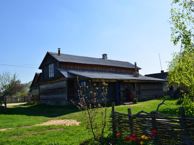 Польски маентак photo 3