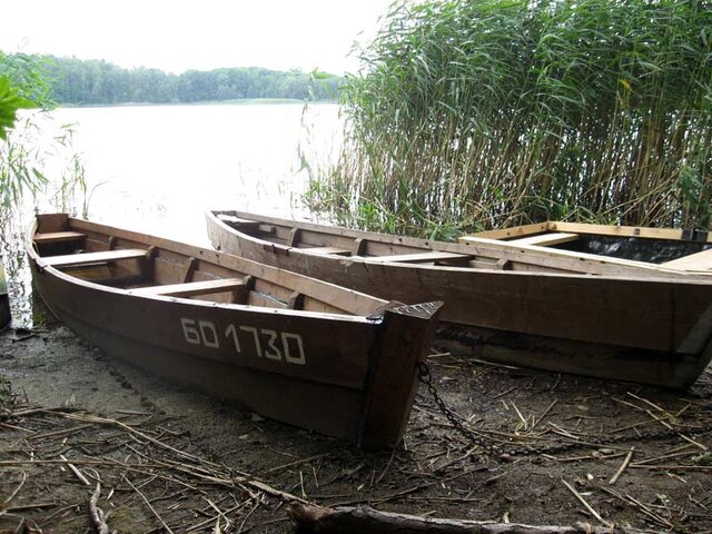 Богино