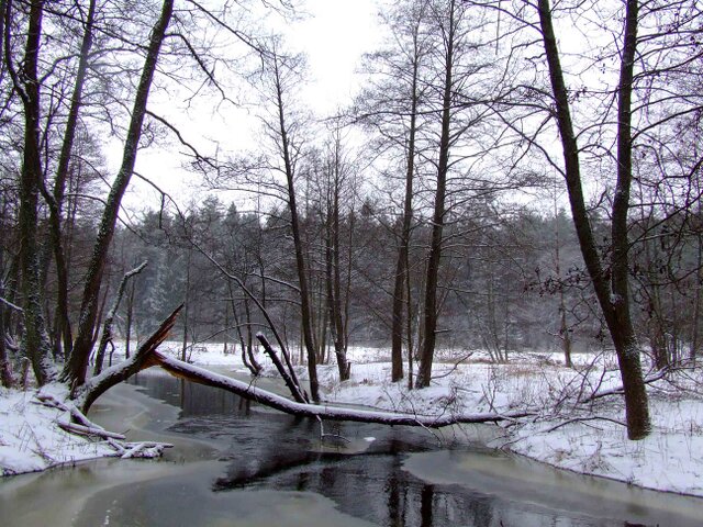 Кузнечная усадьба «Трабутишки» photo 2