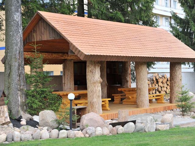 Лесной двор photo 3