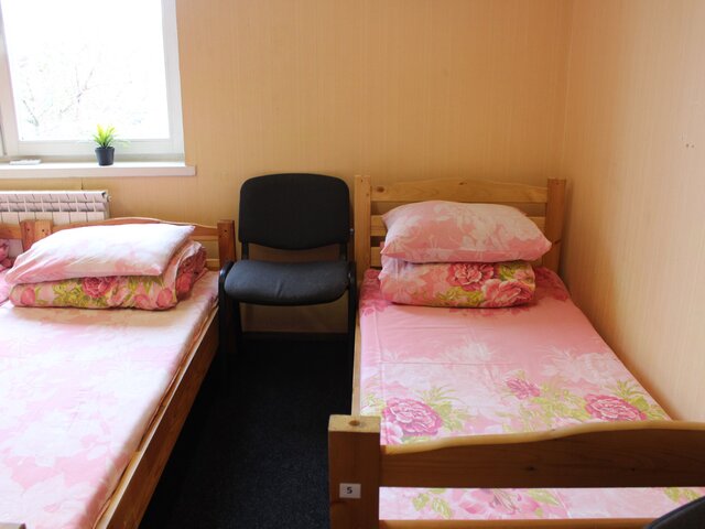 Акация photo 3