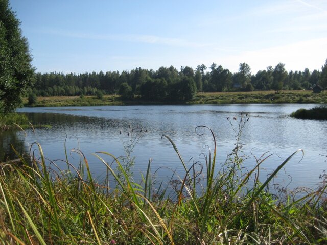 Рani Galagowska photo 3