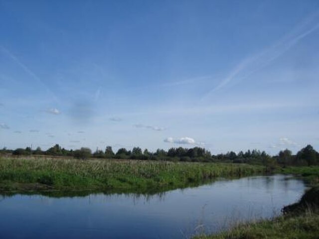 Беловежский кут