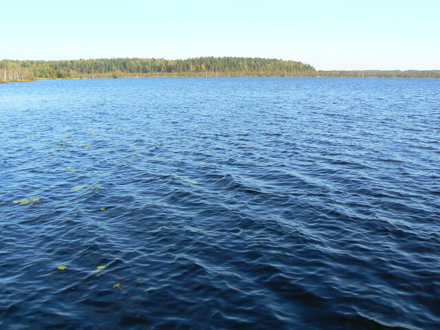 Родны кут