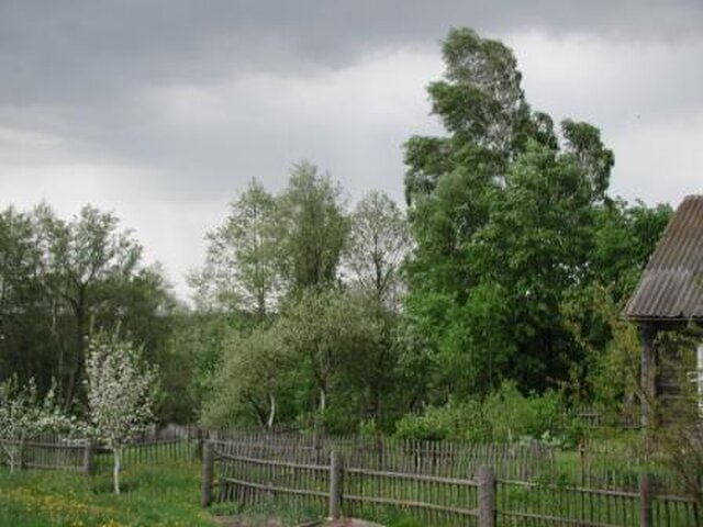 Криничное photo 3