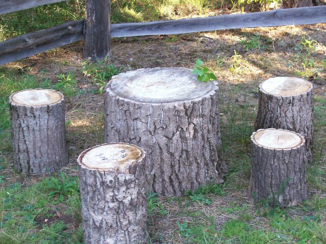 Сам себе хозяин photo 2