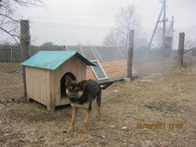 Дедиков photo 3