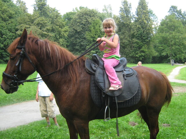 Нясвижския вытоки photo 0